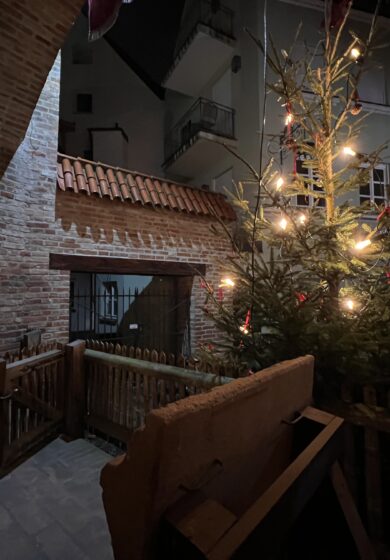 Weihnachtsbaum beim Bauzunfthaus. Foto: Stadt Landshut