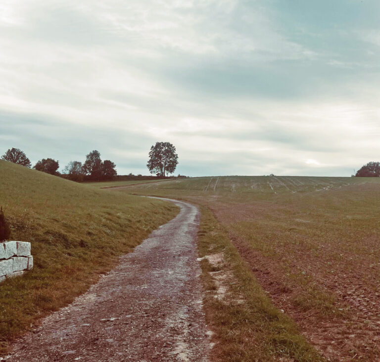 Panoramaaussicht auf dem Landshuter Höhenwanderweg.
