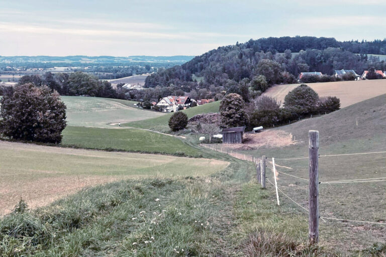 Ausblick auf eine Weide am Landshuter Höhenwanderweg.