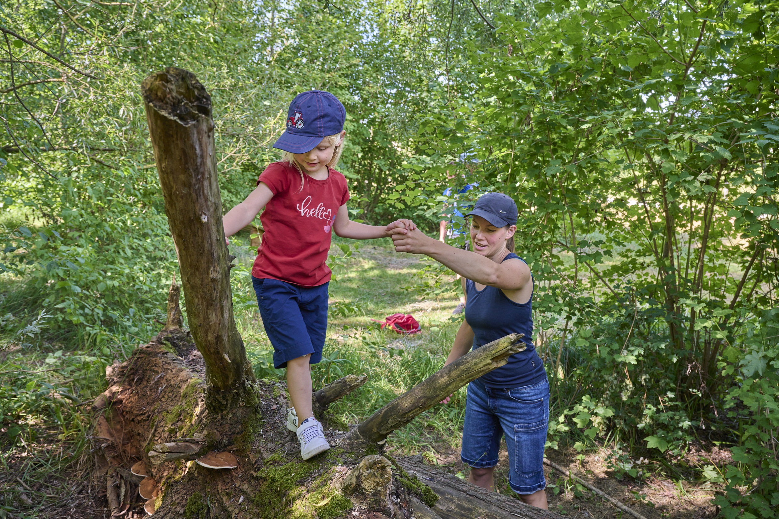 Familienweg am Balkspitz. Foto: TVO Gerhard Illig