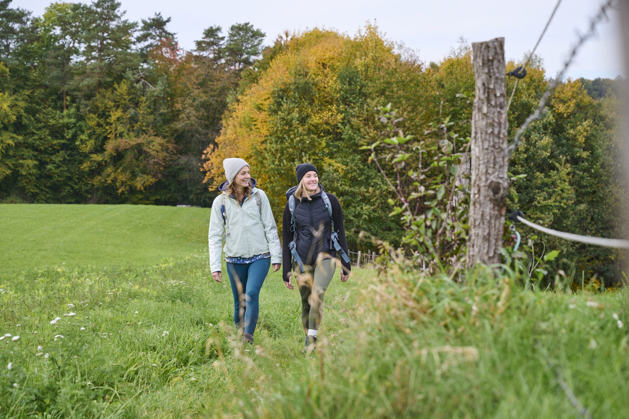 Wanderer entlang eines kleinen Weges. Foto: Tourismusverband Ostbayern