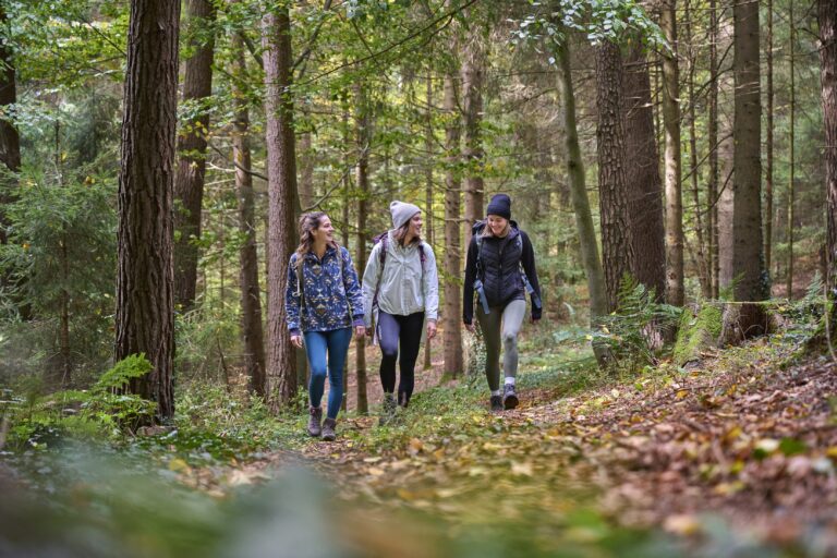 Herbstwanderungen rund um Landshut. Foto: Tourismusverband Ostbayern